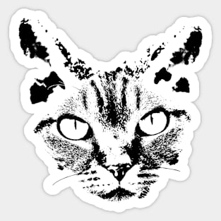 Black cat on white background Sticker